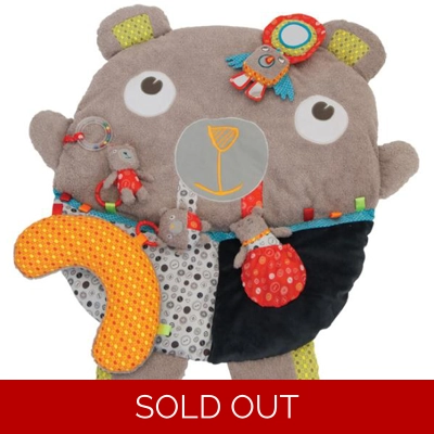 Little Bird Told Me Baby Bear Multi-Activity Playgym